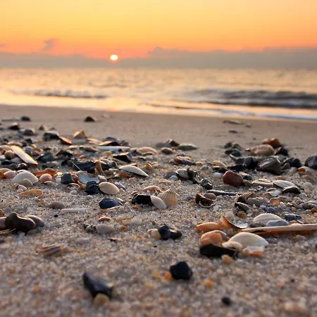 Strandkieker Διαμέρισμα